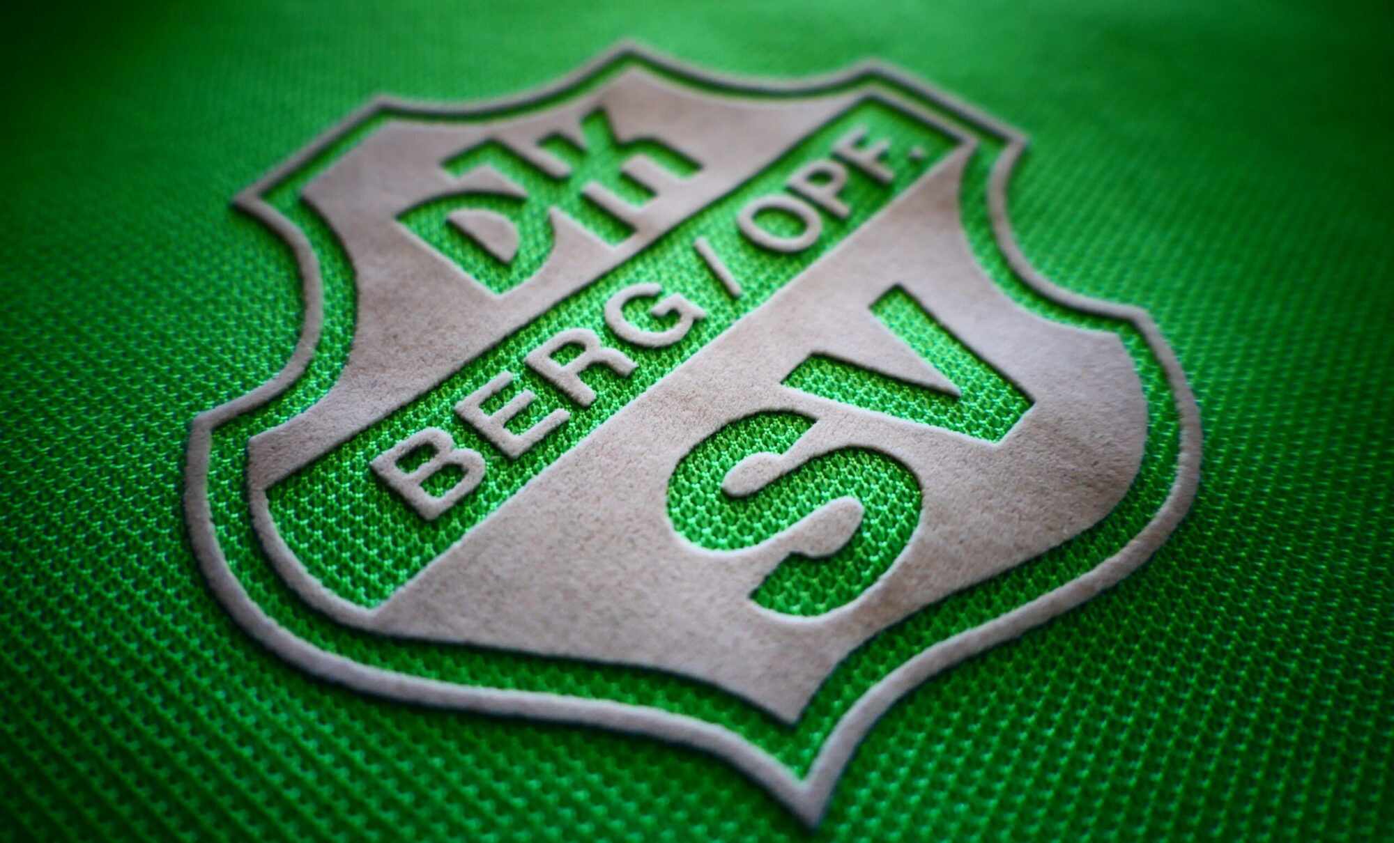 djk sv berg logo fussball fußball